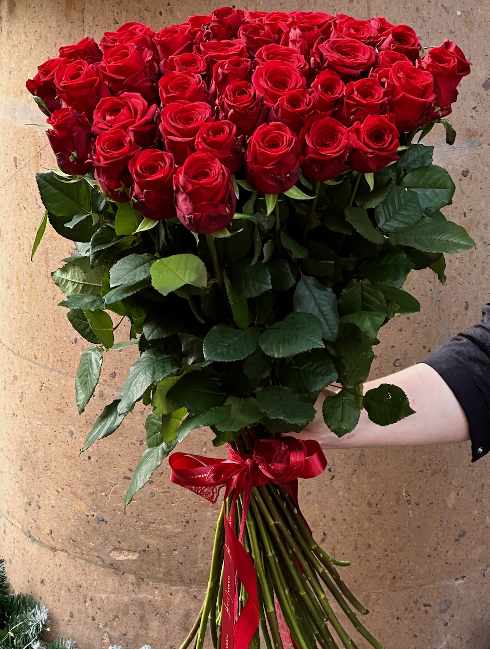 Red Holland Roses - Image 2
