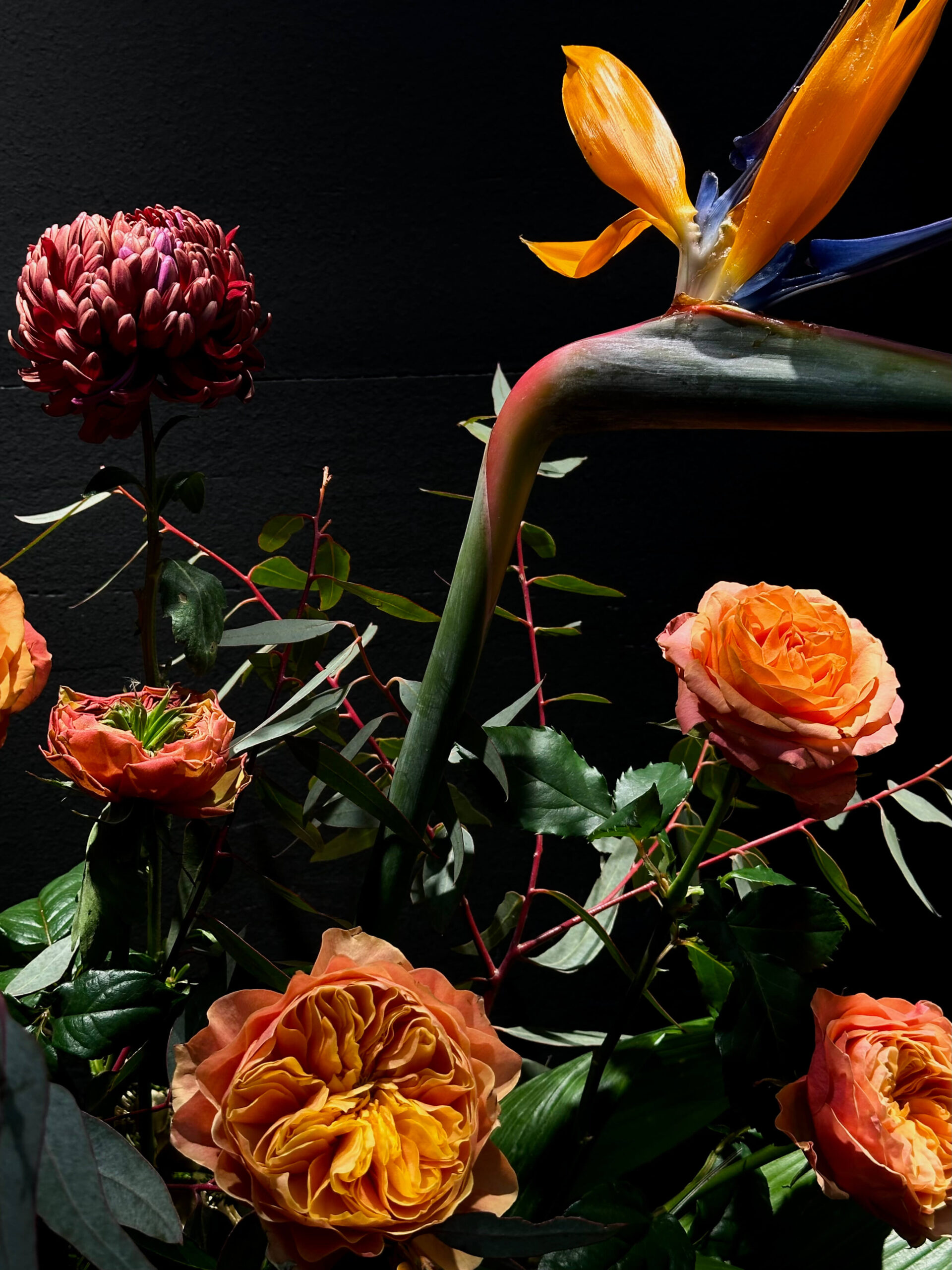 Composition #2 - Image 6